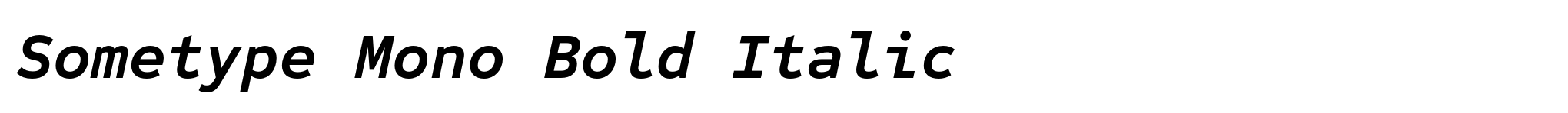 Sometype Mono Bold Italic image